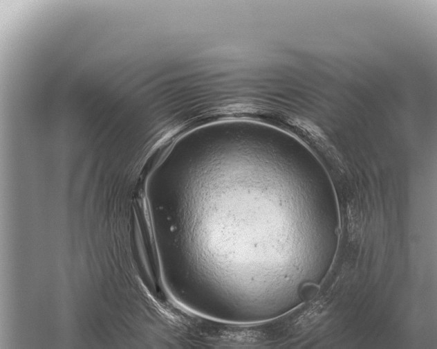 X0000059251225200510211620