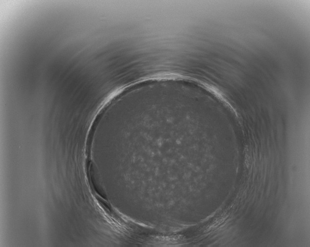 X0000059251229200510211620