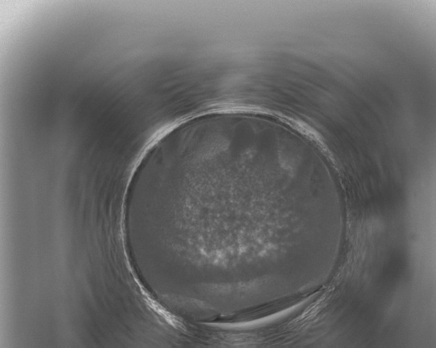 X0000059251231200510211620