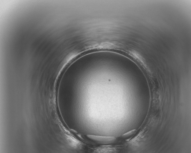 X0000059251232200510211620