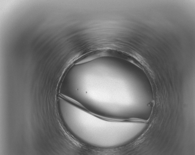 X0000059251234200510211620