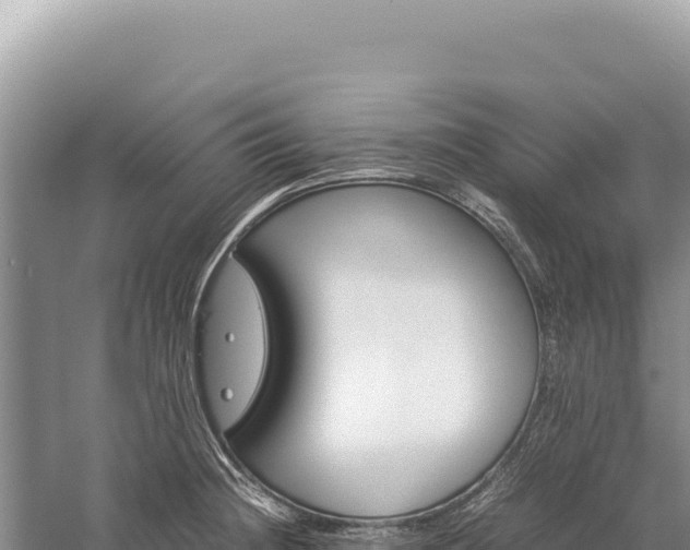 X0000059251236200510211620