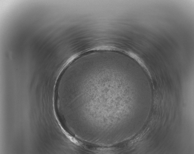 X0000059251237200510211620