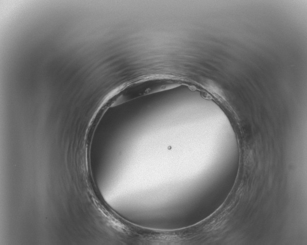 X0000059251238200510211620