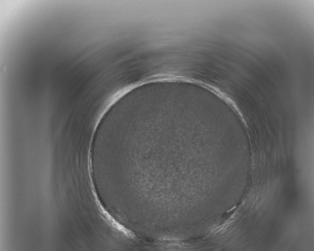 X0000059251239200510211620