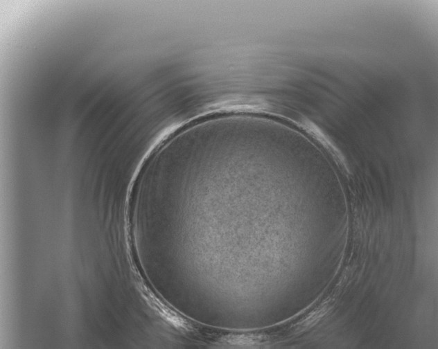 X0000059251240200510211620