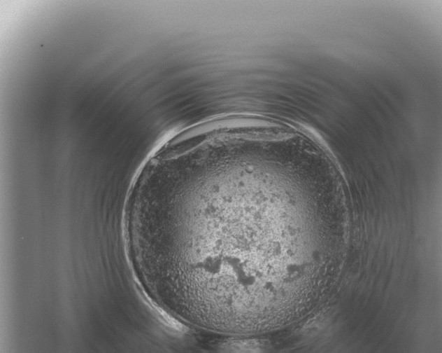 X0000059251243200510211620