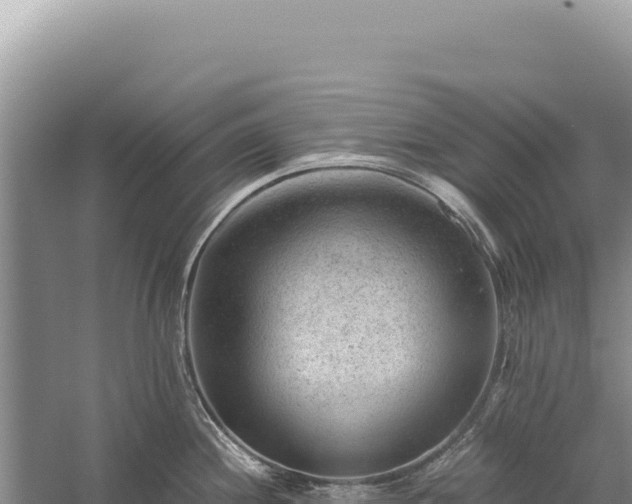 X0000059251244200510211620