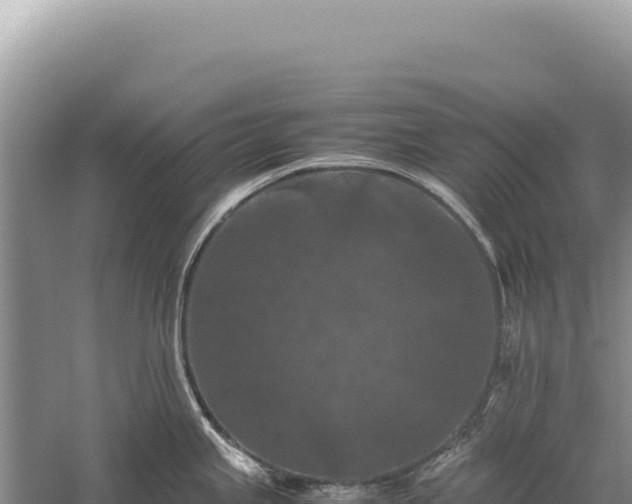 X0000059251245200510211620