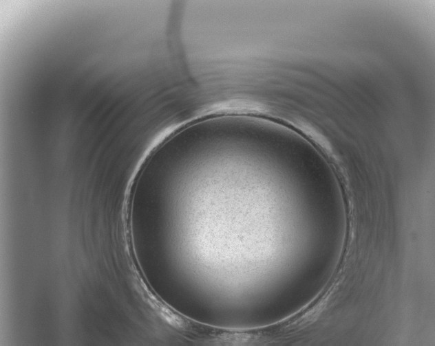 X0000059251248200510211620