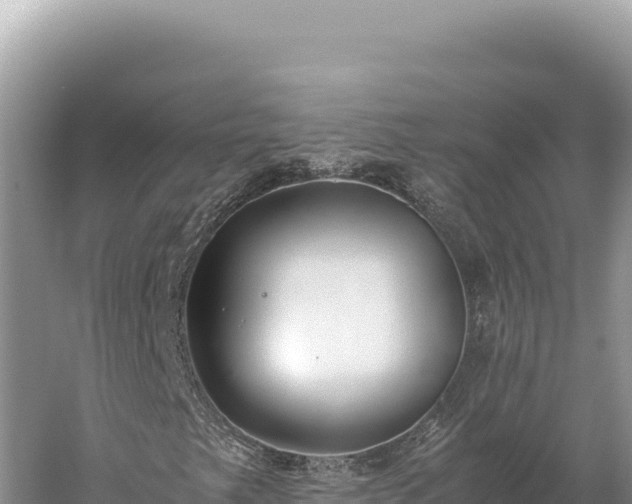 X0000059251249200510211620