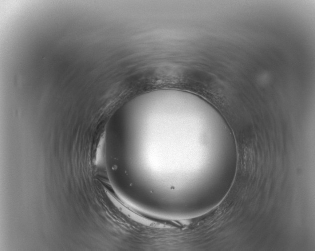 X0000059251250200510211620