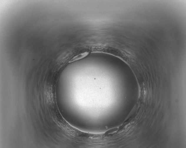 X0000059251252200510211620