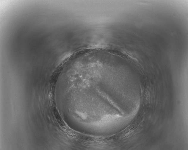 X0000059251254200510211620