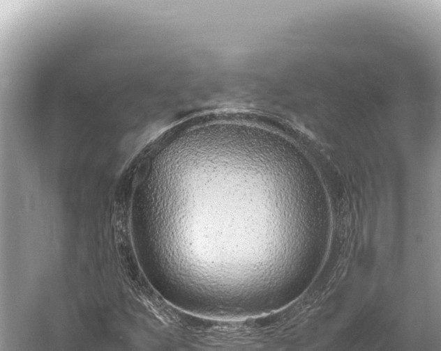 X0000059251255200510211619