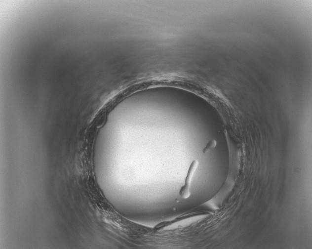 X0000059251256200510211619