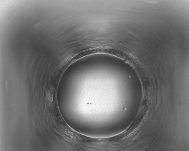 X0000059251257200510211619