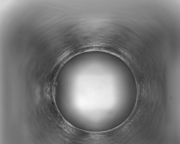 X0000059251258200510211619