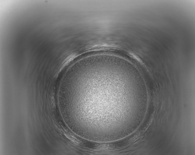 X0000059251259200510211619