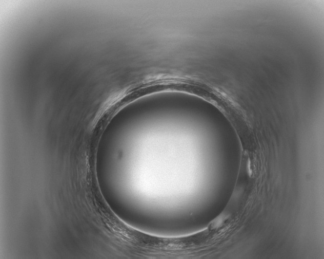 X0000059251261200510211619