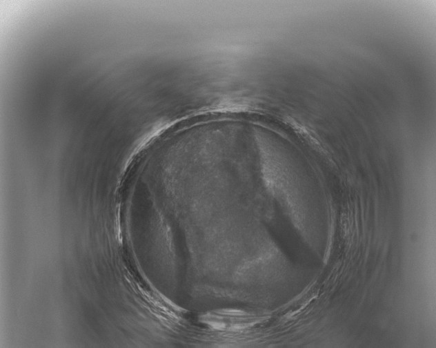 X0000059251262200510211619