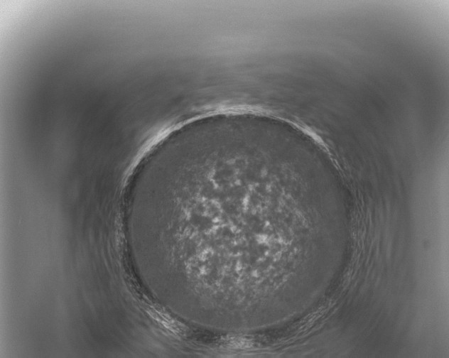 X0000059251263200510211619