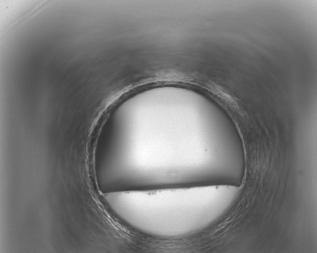 X0000059251264200510211619