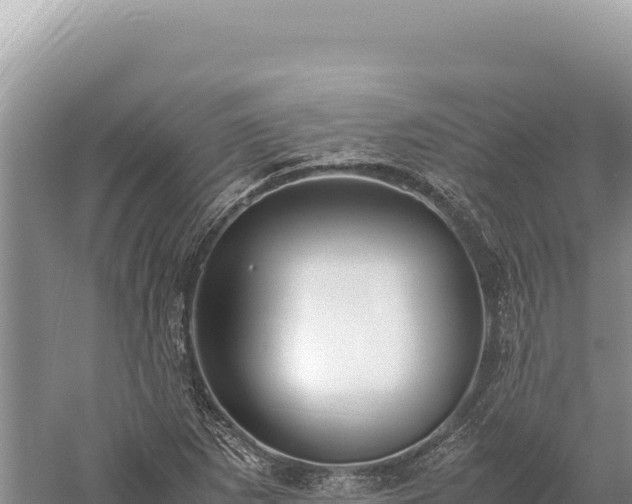 X0000059251265200510211619