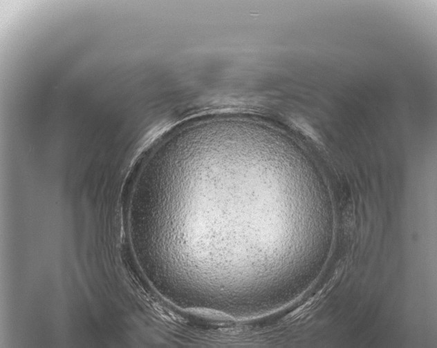 X0000059251267200510211619