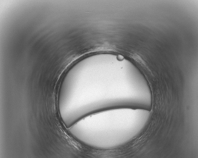 X0000059251268200510211619