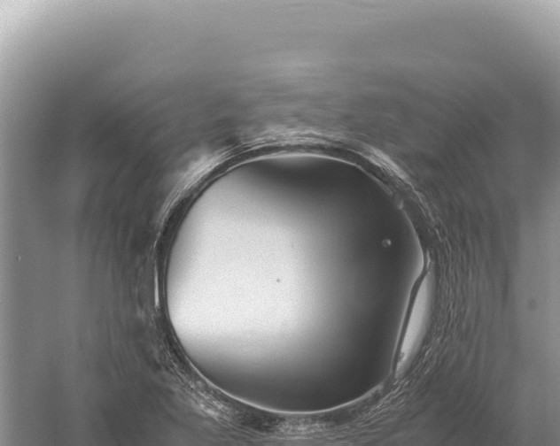 X0000059251269200510211619