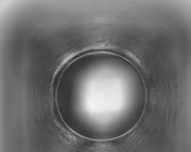 X0000059251270200510211619