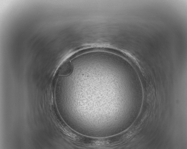 X0000059251271200510211619