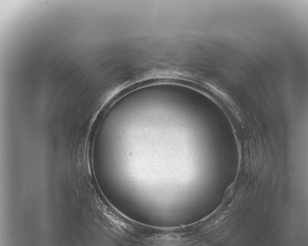 X0000059251272200510211619