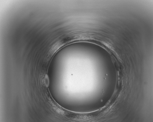 X0000059251273200510211619