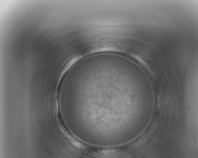 X0000059251274200510211619