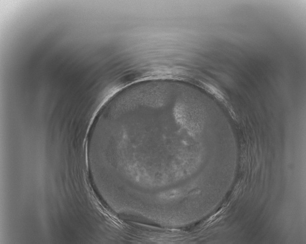 X0000059251275200510211619