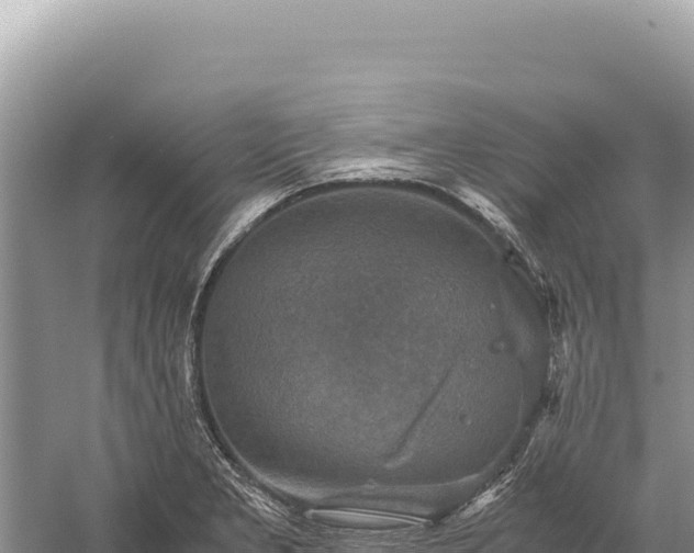 X0000059251277200510211619