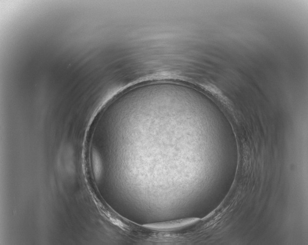 X0000059251278200510211619