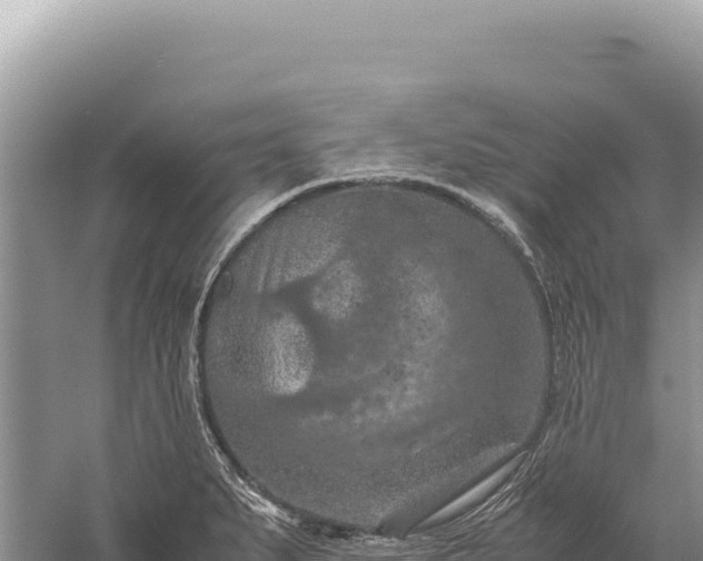 X0000059251279200510211619