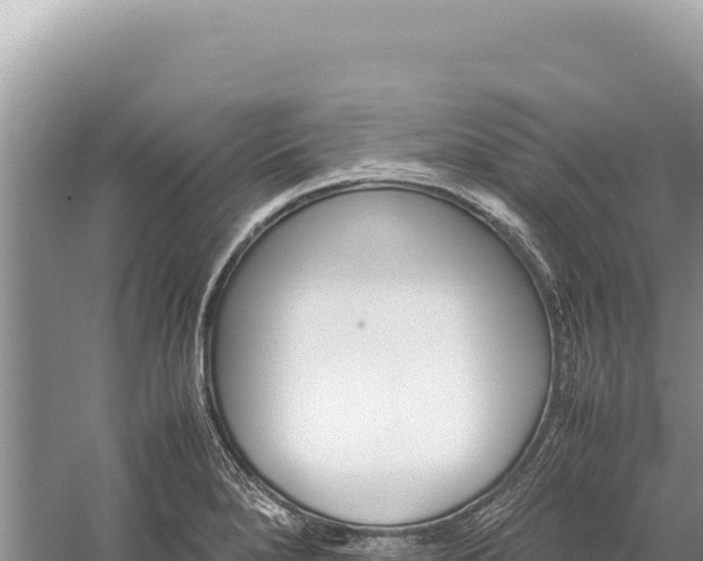 X0000059251280200510211619