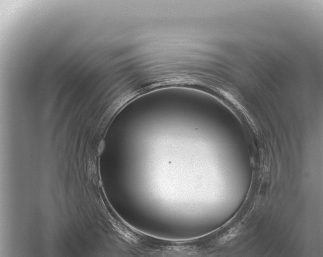 X0000059251281200510211619