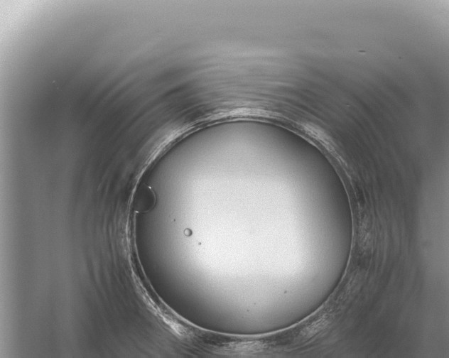 X0000059251282200510211619