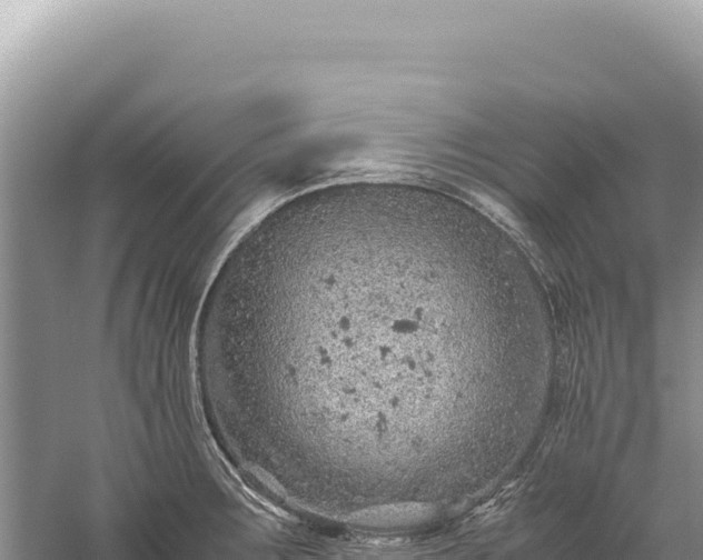 X0000059251283200510211619