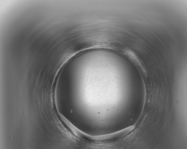 X0000059251284200510211619