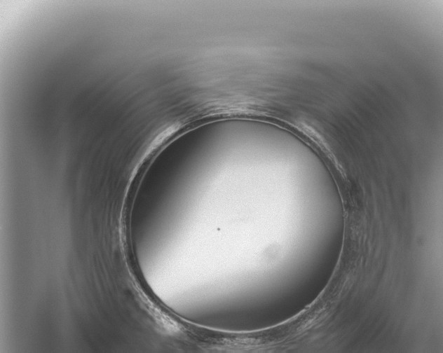 X0000059251285200510211619