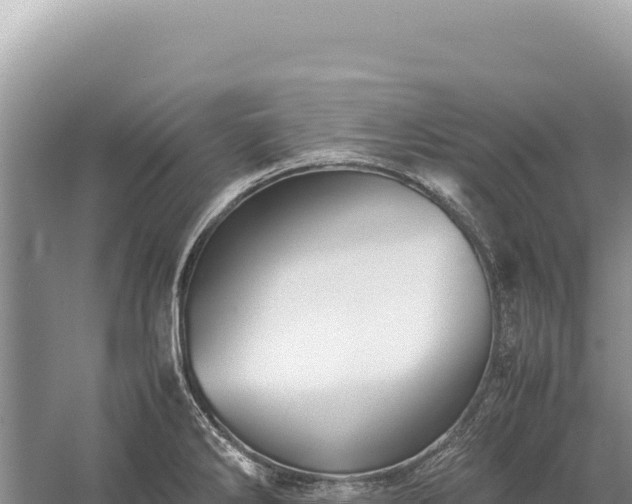 X0000059251286200510211619