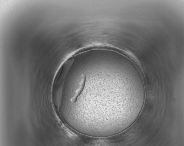 X0000059251287200510211619