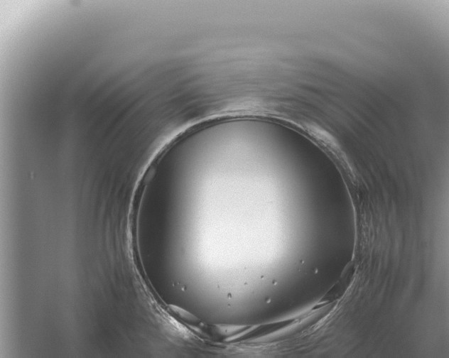 X0000059251288200510211619