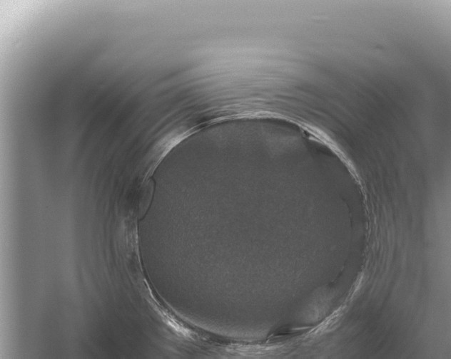 X0000059251289200510211619